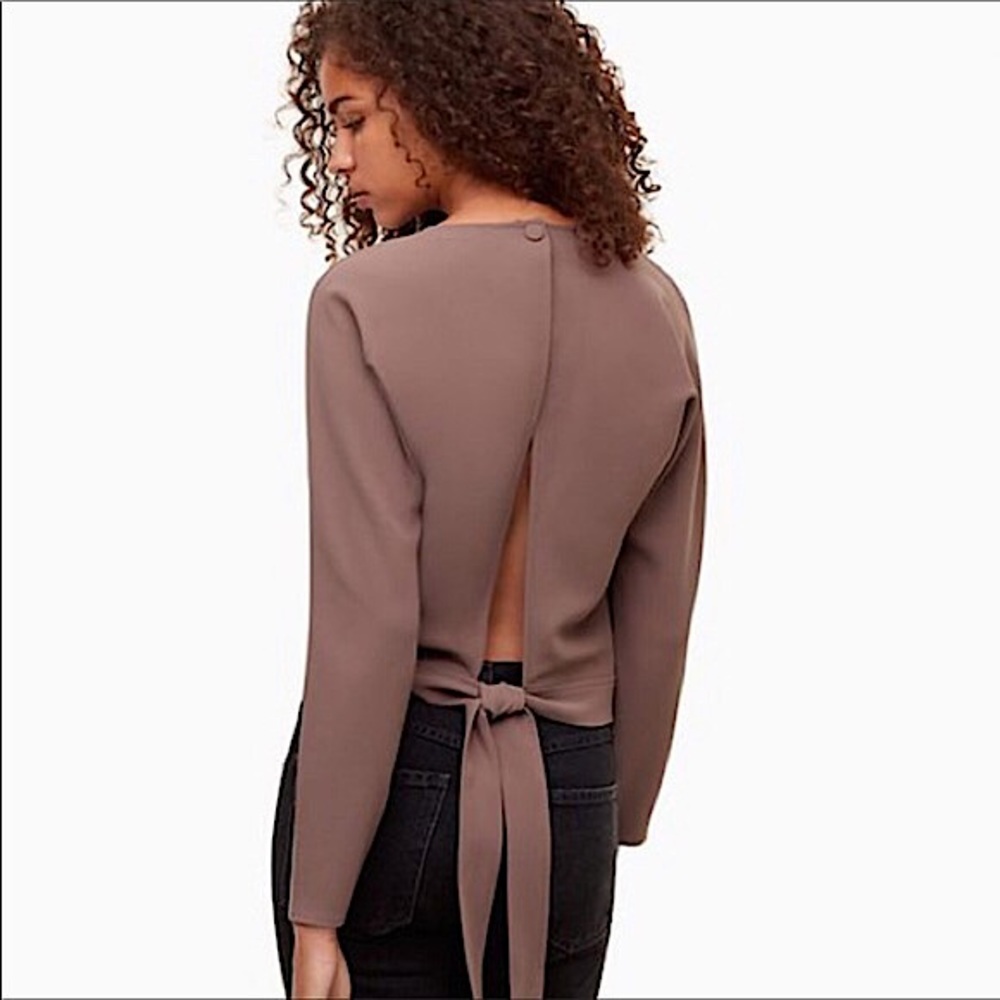 Aritzia Mauve-Taupe Tie-Back Long Sleeve Blouse